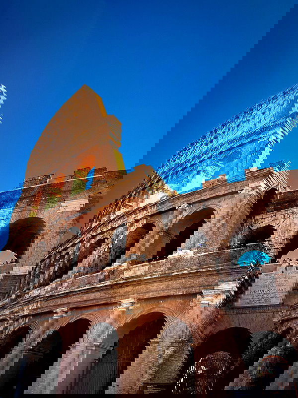 biton__adi biton__adi archive image