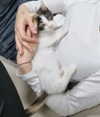 biya1024 Altpins Profile Picture