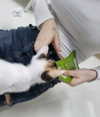 biya1024 Altpins Profile Picture