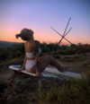 blairvira Altpins Profile Picture