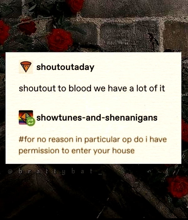 blairvira instagram image archive image