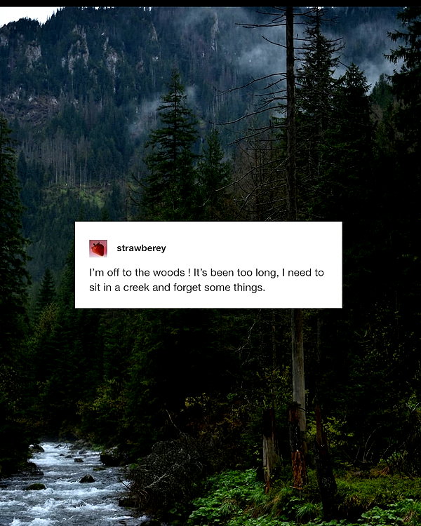 blairvira instagram image archive image