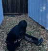 bloodyfukk Altpins Profile Picture