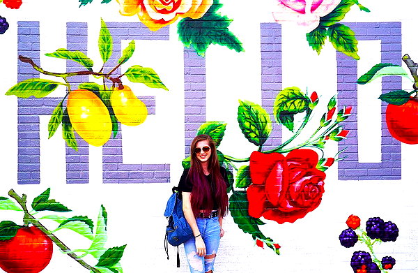 bookofcarley instagram image archive image