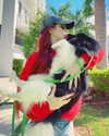 bookofcarley Altpins Profile Picture