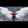 bookofcarley Altpins Profile Picture