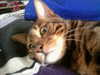 bookofcarley Altpins Profile Picture