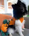 bookofcarley Altpins Profile Picture