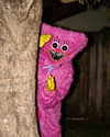 bookofcarley Altpins Profile Picture