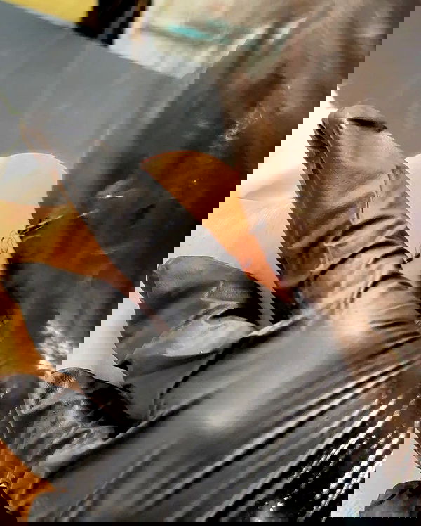 breckiehill image ~ Altpins