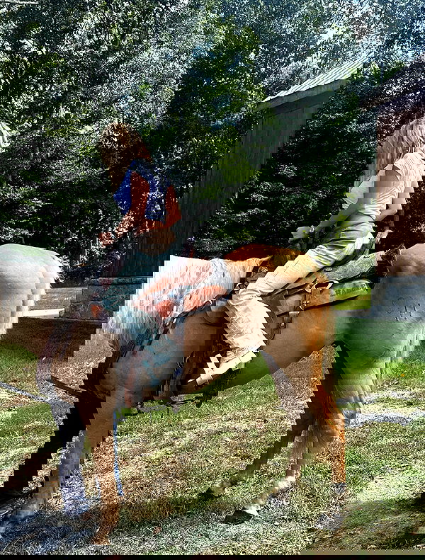 breckiehill image ~ Altpins