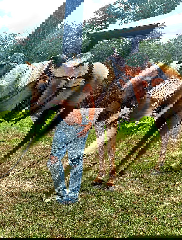 breckiehill image ~ Altpins