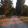 brillacomecamillaa Altpins Profile Picture