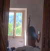 brillacomecamillaa Altpins Profile Picture