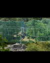 brillacomecamillaa Altpins Profile Picture