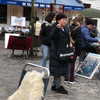 brillacomecamillaa Altpins Profile Picture
