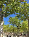 brillacomecamillaa Altpins Profile Picture