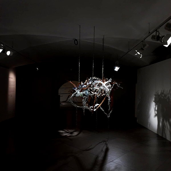 brillacomecamillaa instagram image archive image