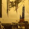 brillacomecamillaa Altpins Profile Picture