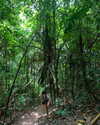 brillacomecamillaa Altpins Profile Picture