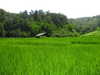brillacomecamillaa Altpins Profile Picture