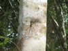 brillacomecamillaa Altpins Profile Picture