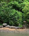 brillacomecamillaa Altpins Profile Picture