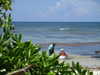 brillacomecamillaa Altpins Profile Picture