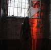 brillacomecamillaa Altpins Profile Picture