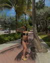 brixrides3 Altpins Profile Picture