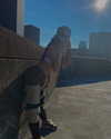 brixrides3 Altpins Profile Picture