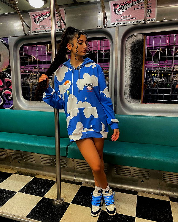 brixrides3 instagram image archive image