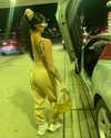 brixrides3 Altpins Profile Picture