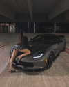 brixrides3 Altpins Profile Picture