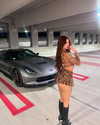 brixrides3 Altpins Profile Picture