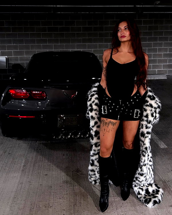 brixrides3 instagram image archive image