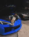 brixrides3 Altpins Profile Picture