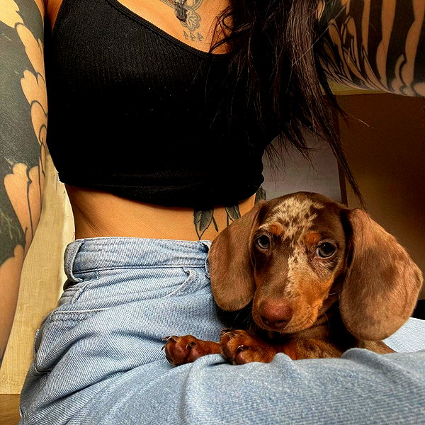 brookecaudery instagram image archive image