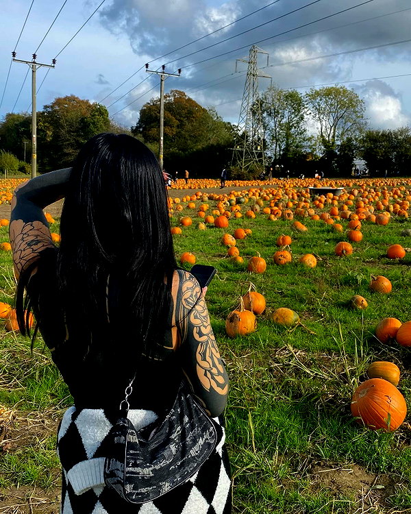 brookecaudery instagram image archive image
