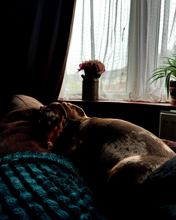 brookecaudery instagram image archive image