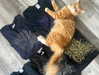 brutality_vintage Altpins Profile Picture