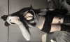 bunilvn Altpins Profile Picture