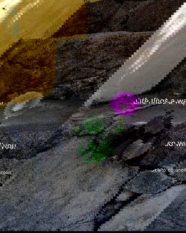 bunnirinni bunnirinni archive image