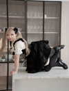 bunny_alina_kim Altpins Profile Picture