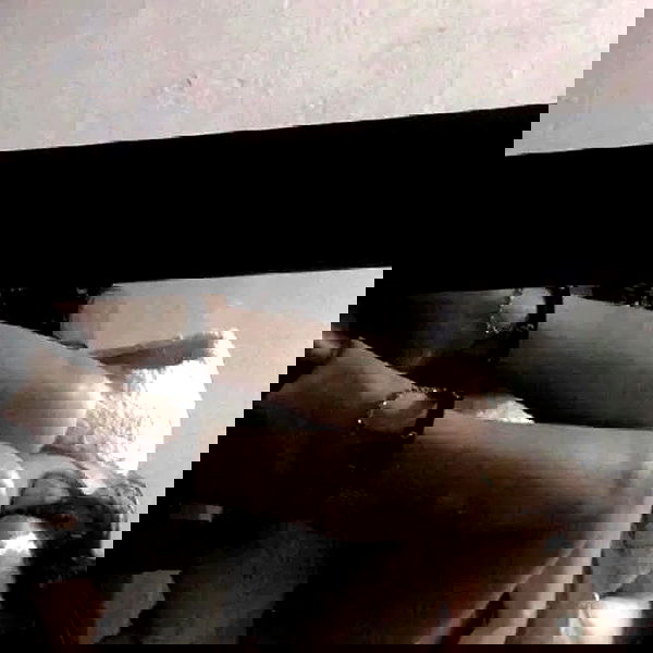 bunnyhoney_99 bunnyhoney_99 archive image