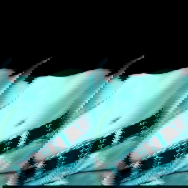 bunnyhoney_99 bunnyhoney_99 archive image