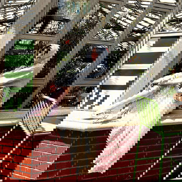 burcumsai burcumsai archive image