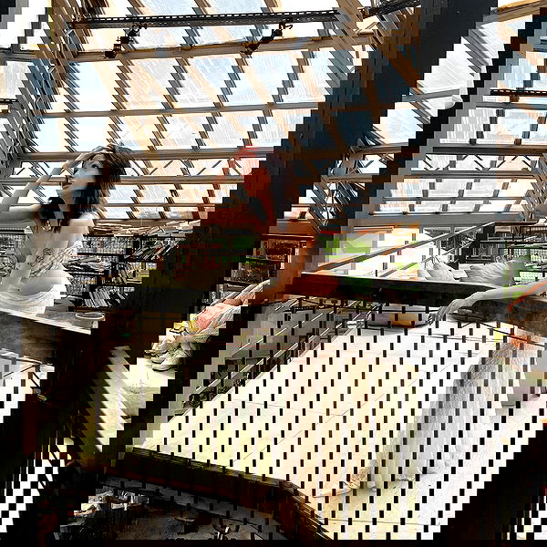 burcumsai burcumsai archive image