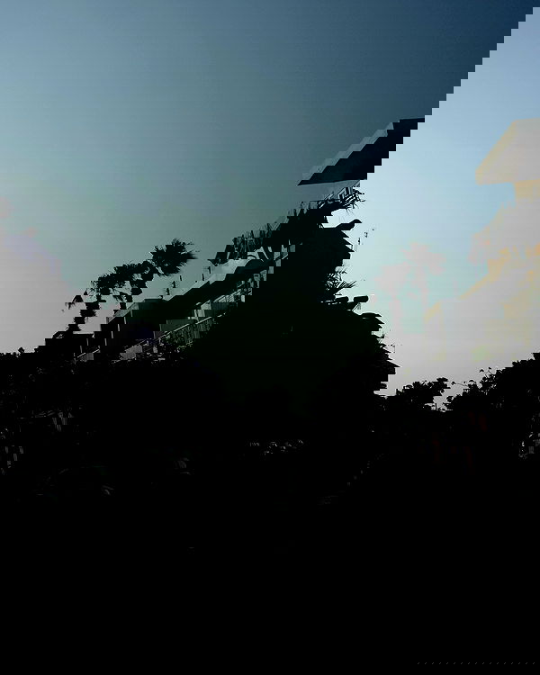 burcumsai burcumsai archive image