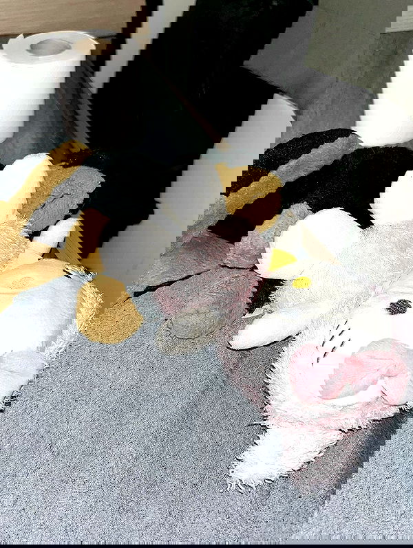 burcumsai burcumsai archive image